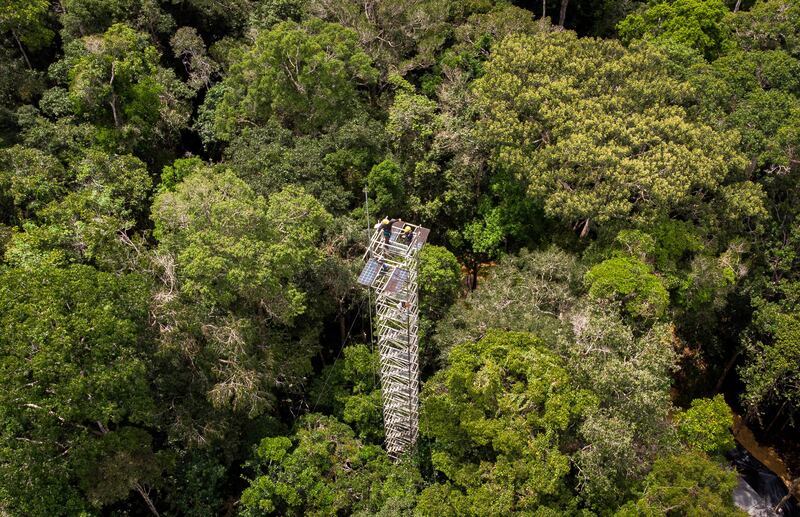 One of the towers being set up in Brazil's Amazon jungle to predict how rainforests will react to higher carbon dioxide levels. EPA