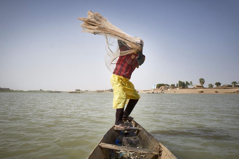 A fisherman on his pirogue throws a net in the Niger river in Mopti, Mali. Fishing is threatened by climate changes, unselective fishing and armed groups present in the rural zones in central Mali. AFP