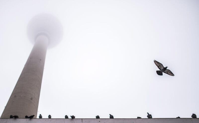A pigeon flies by the television tower in Berlin. Sophia Kembowski / DPA / AFP Photo