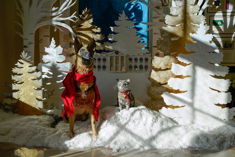 Depictions of Commander and Willow, the first family dog and cat, are part of decorations in the East Colonnade. AP