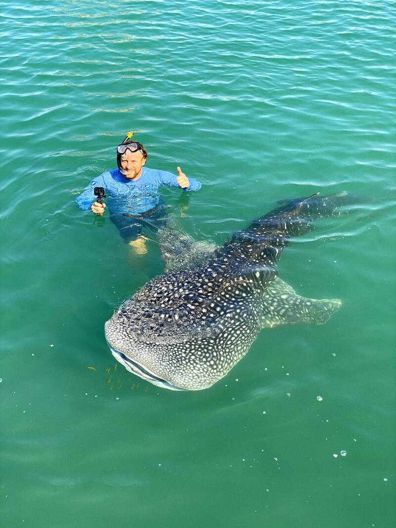 Winston Cowie, marine policy manager at Environment Agency Abu Dhabi monitors a whale shark spotted in Abu Dhabi near Al Raha. Courtesy: Environment Agency Abu Dhabi