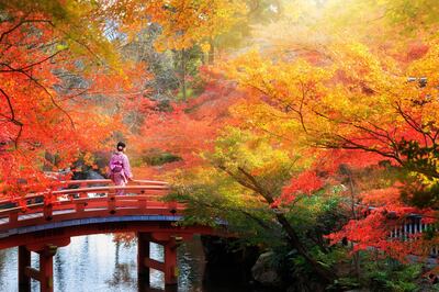 Wooden bridge in the autumn park, Japan. Getty Images
