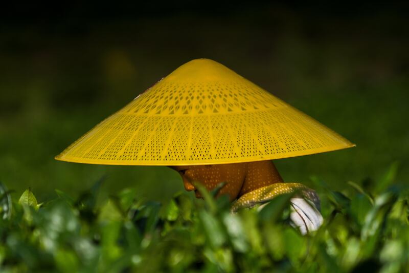 A woman works in the field in a valley between Zunyi and Maotai town, Guizhou province, China. EPA