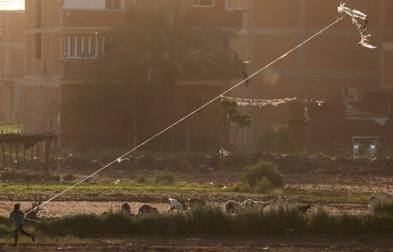 A boy flies a kite near sheep, in agriculture land named "El Shouna" at El-Marg district, east of Cairo. Reuters