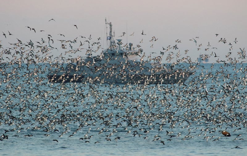 A Russian Navy ship seen through a flock of birds in the Black Sea port of Sevastopol, Crimea. Reuters