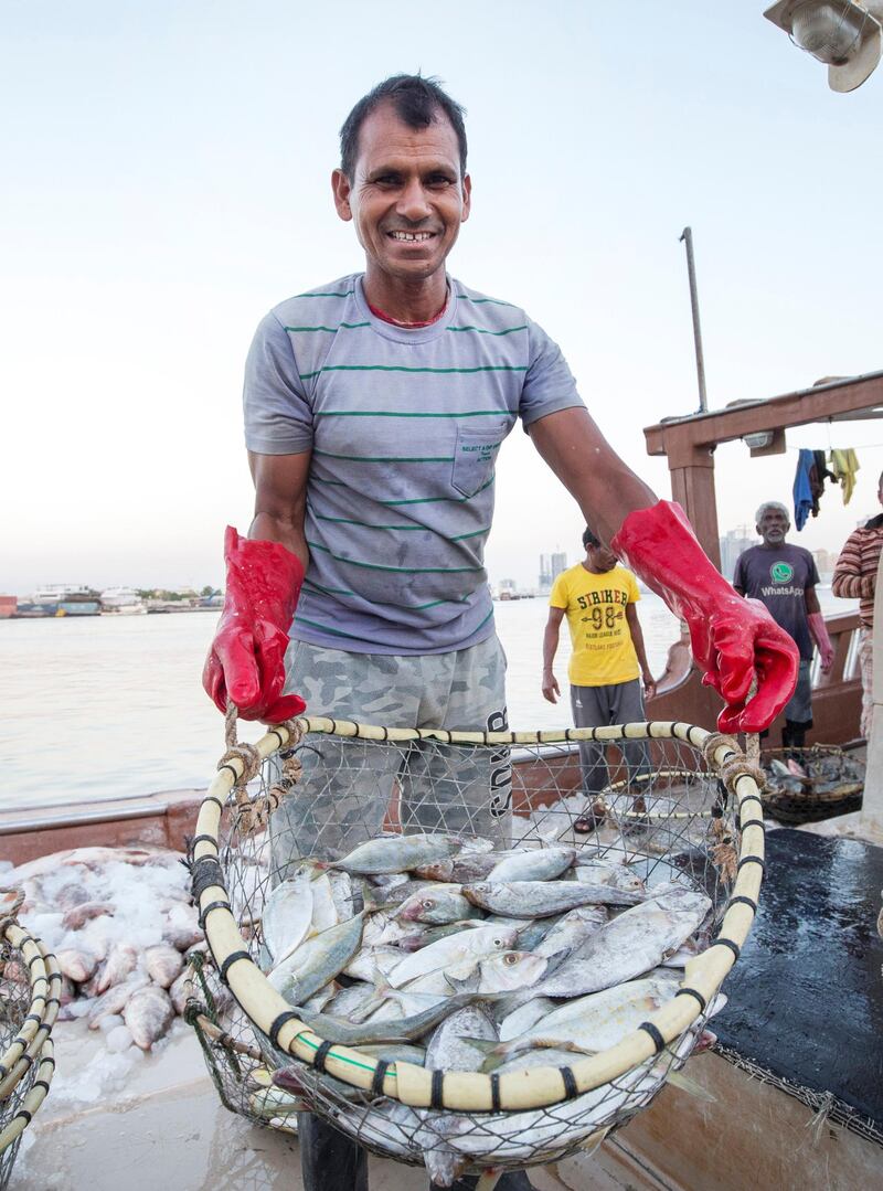 AJMAN, UNITED ARAB EMIRATES - A fisherman showing catch of the day in Ajman Fish Market.  Leslie Pableo for The National