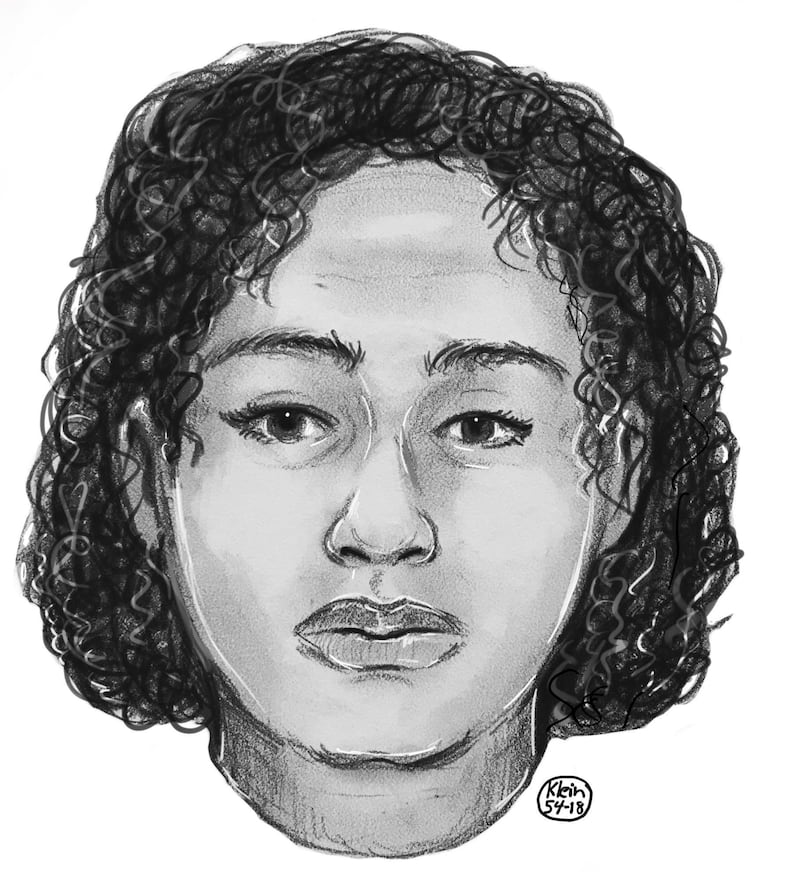 This undated sketch provided by the New York Police Department on Saturday, Oct. 27, 2018 shows Tala Farea, 16, of Fairfax, Va. The NYPD says the bodies that were found Wednesday bound-together lying on rocks along the Hudson River were 22-year-old Rotana Farea and her 16-year-old sister, Tala. (New York Police Department via AP)