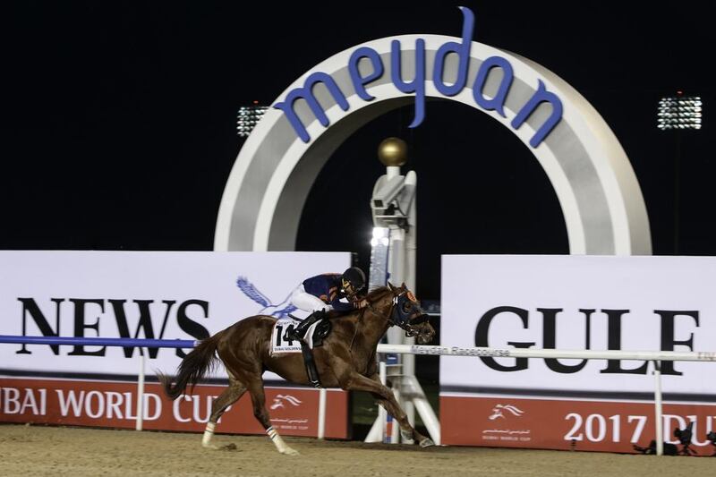 Joel Rosario atop Mind Your Biscuits races to victory in the Dubai Golden Shaheen during the Dubai World Cup at Meydan racecourse in Duabi on March 25, 2017. Christopher Pike / The National