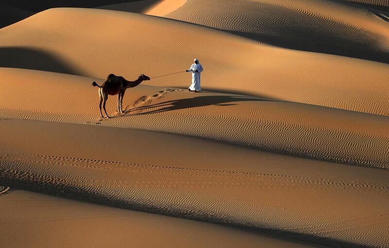 An Emirati man walks a camel across the Liwa desert for Abu Dhabi's 2018 Moreeb Dune Festival. Karim Sahib / AFP Photo