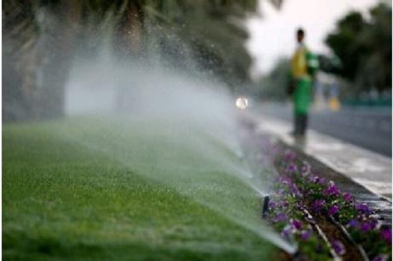 The UAE has one of the highest water consumption rates in the world. Ryan Carter / The National