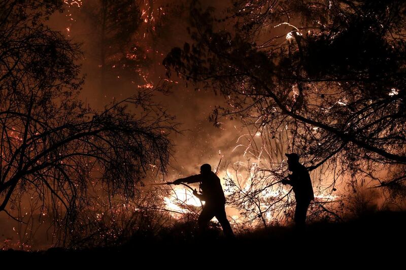 Firefighters try to put out a forest fire in Makrimalli village, on the island of Evia, northeast of Athens.  AP