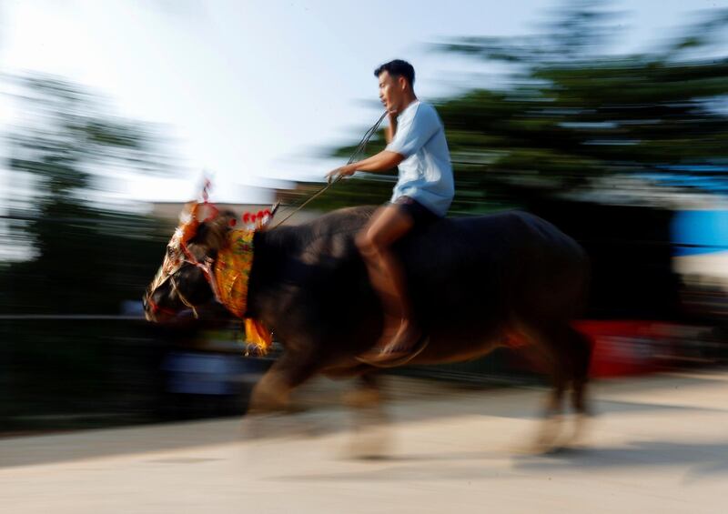 A man rides his buffalo on the last day of Pchum Ben festival, at Vihear Sour village in Kandal province, Cambodia. Samrang Pring/Reuters