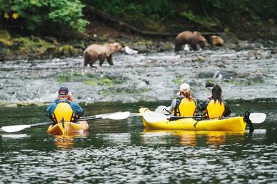 Bear-watching by kayak. 