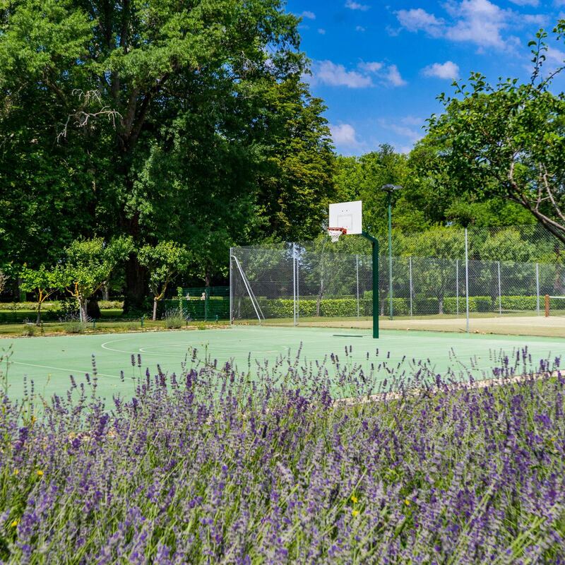 Basketball courts lined with Provence lavender. Courtesy Chateau De Tourreau