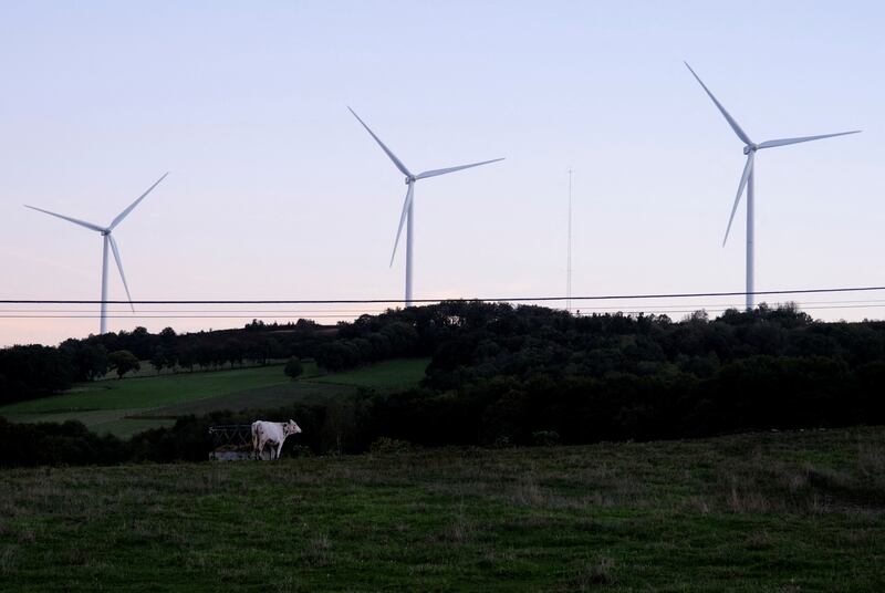 Renewable energy currently makes up 21.8 per cent of overall EU consumption. Reuters.