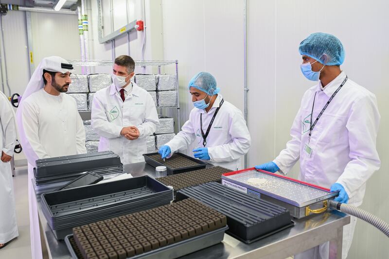 The high-tech facility is primed to play a key role in helping Dubai achieve its food security goals. 


