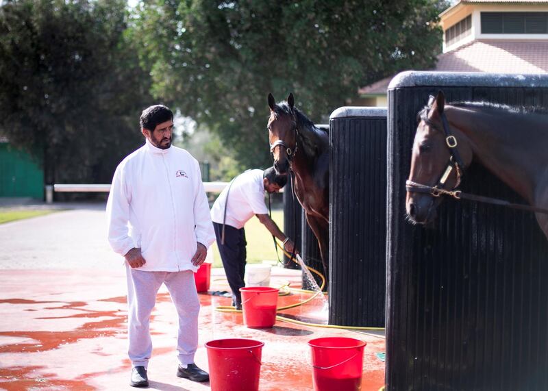 DUBAI, UNITED ARAB EMIRATES. 17 MARCH 2020. 
Emirati trainer Ali Rashid Al Raihe observing the horses at Grandstand Stables. (Photo: Reem Mohammed/The National)

Reporter:
Section: