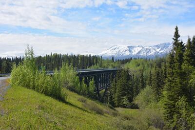The road to Wrangell St Elias National Park. 