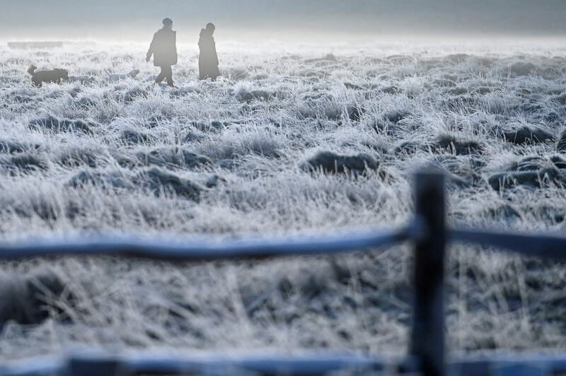 Dog walkers cross frozen grassland in Bushy Park, London. Reuters