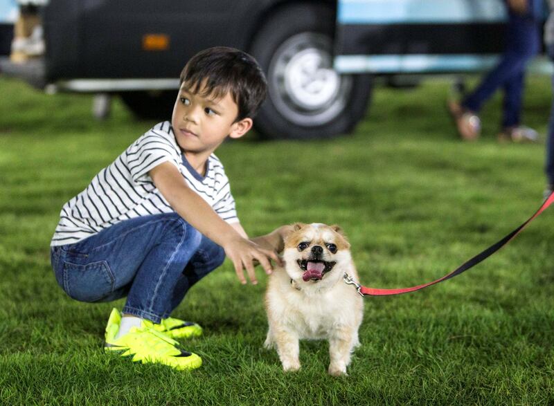 ABU DHABI, UNITED ARAB EMIRATES, 28 OCTOBER 2018 - A boy petting a dog  at the inaugural of Yas Pet Together event at Yas Du Arena, Abu Dhabi.  Leslie Pableo for The National for Evelyn Lau's story
