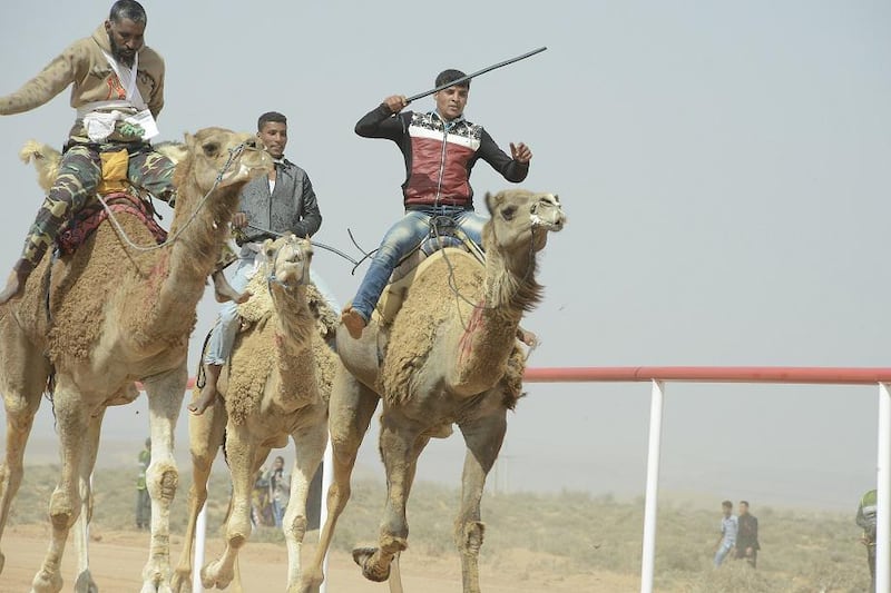 Dignitaries from Abu Dhabi on Monday inaugurated the first camel racetrack in Tan-Tan, in the south-western Sahara region of Morocco for the annual week-long festival. Courtesy TCA