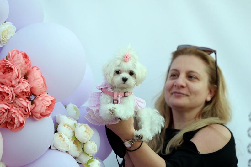 Dubai, United Arab Emirates - Reporter: Katy Gillett. Features. Boujie Paws Co Dog Fashion Show at the Vida hotel. Tuesday, April 6th, 2021. Dubai. Chris Whiteoak / The National