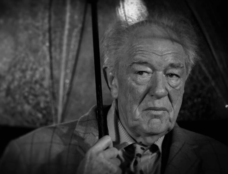 Sir Michael Gambon, best known for playing Albus Dumbledore in the Harry Potter film series, has died aged 82 following a bout of pneumonia. Getty Images