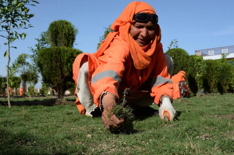 In this photograph taken on April 23, 2018, a female Afghan municipality employee, supported by United Nations agency UN-Habitat, removes weeds at a garden in Jalalabad. It may look like they're just planting and weeding, but for the women tending the public gardens of Jalalabad, the tasks represent far more: the rare chance to work outside the home in one of Afghanistan's most conservative and unstable provinces. - TO GO WITH Afghanistan-Women-Employment-Gardens-Social,FEATURE by Anne CHAON
 / AFP / NOORULLAH SHIRZADA / TO GO WITH Afghanistan-Women-Employment-Gardens-Social,FEATURE by Anne CHAON
