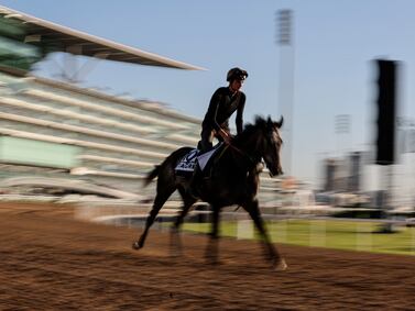 A jockey rides Zagrey from France during preparations for the Dubai World Cup 2023 at the Meydan race course in the Gulf emirate of Dubai, United Arab Emirates, 22 March 2023.  The 27th edition of the Dubai World Cup will take place on 25 March 2023.   EPA / ALI HAIDER