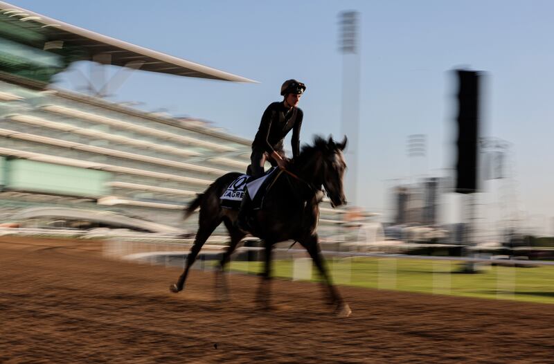A jockey rides Zagrey from France during preparations for the Dubai World Cup 2023 at the Meydan race course in the Gulf emirate of Dubai, United Arab Emirates, 22 March 2023.  The 27th edition of the Dubai World Cup will take place on 25 March 2023.   EPA / ALI HAIDER