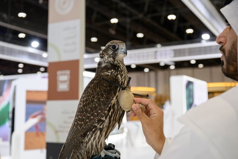 Falconry, a traditional sport in the UAE and a symbol of national prestige, features heavily at Adihex. Abdulla Al Neyadi / UAE Presidential Court