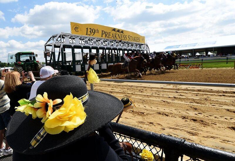 Fans watch as horses break from the gate during the first race prior to the 139th running of the Preakness Stakes at Pimlico Race Course on Saturday. Molly Riley / Getty Images / AFP / May 17, 2014