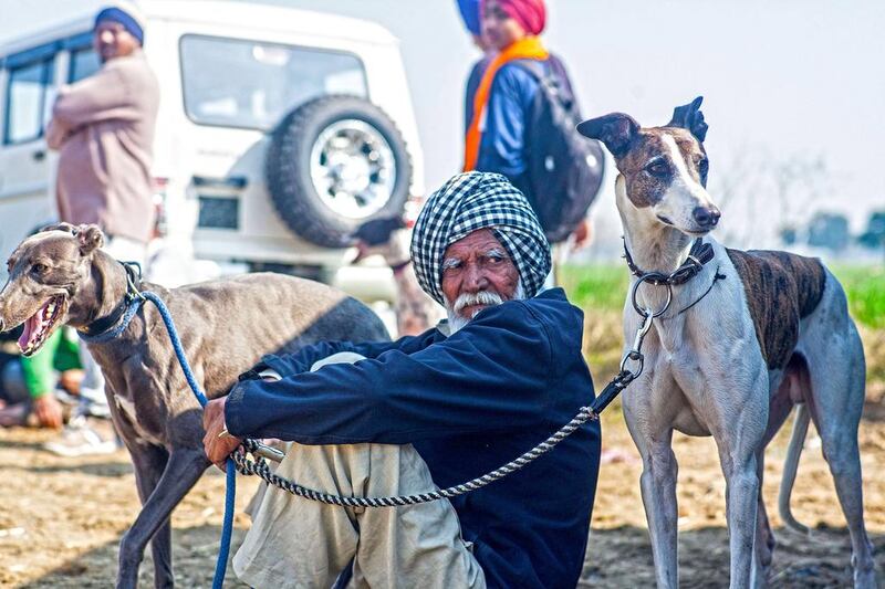 80 year old Rulda Singh from Ballowal with his race dogs Rock, right, and Sleepie. He has been participating in the gog race for the last five years.
