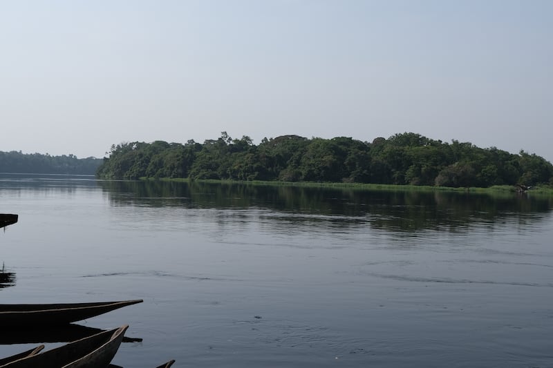 Situated at the heart of the central basin of the Congo river, the park is very isolated and accessible only by water. It is the habitat of many endemic endangered species, such as the bonobo, the Congo peacock, the forest elephant and the African slender-snouted or 'false' crocodile