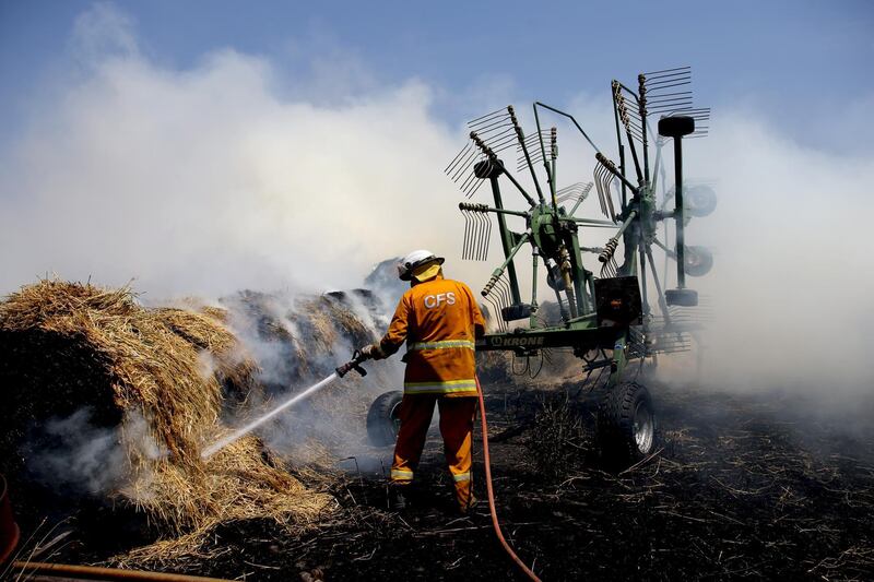 A CFS member puts out a fire which reached hay bales in the Adelaide Hills. Reuters