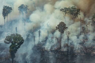 Smoke billowing from a forest fire in the Amazon basin in northwestern Brazil. AFP PHOTO / GREENPEACE