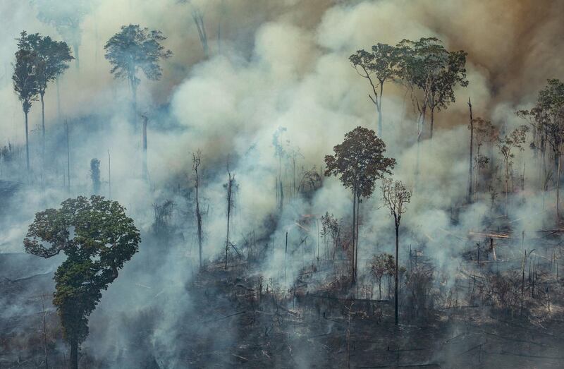 Handout aerial picture released by Greenpeace showing smoke billowing from a forest fire in the municipality of Candeias do Jamari, close to Porto Velho in Rondonia State, in the Amazon basin in northwestern Brazil, on August 24, 2019. Brazil on August 25 deployed two Hercules C-130 aircraft to douse fires devouring parts of the Amazon rainforest. The latest official figures show 79,513 forest fires have been recorded in the country this year, the highest number of any year since 2013. More than half of those are in the massive Amazon basin. Experts say increased land clearing during the months-long dry season to make way for crops or grazing has aggravated the problem this year. - RESTRICTED TO EDITORIAL USE - MANDATORY CREDIT "AFP PHOTO / GREENPEACE / VICTOR MORIYAMA" - NO MARKETING - NO ADVERTISING CAMPAIGNS - NO RESALE - NO ARCHIVE - IMAGE AVAILABLE FOR PUBLICATION AND DOWNLOAD UNTIL 09.09.2019 - DISTRIBUTED AS A SERVICE TO CLIENTS
 / AFP / GREENPEACE / GREENPEACE / GREENPEACE / GREENPEACE / GREENPEACE / GREENPEACE / Victor MORIYAMA / RESTRICTED TO EDITORIAL USE - MANDATORY CREDIT "AFP PHOTO / GREENPEACE / VICTOR MORIYAMA" - NO MARKETING - NO ADVERTISING CAMPAIGNS - NO RESALE - NO ARCHIVE - IMAGE AVAILABLE FOR PUBLICATION AND DOWNLOAD UNTIL 09.09.2019 - DISTRIBUTED AS A SERVICE TO CLIENTS
