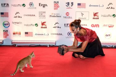Egyptian actress Bushra Roza takes a picture of a cat on the red carpet upon her arrivial to attend the Cinegouna opening party on the sidelines of the 3rd edition of the El Gouna Film Festival at the Egyptian Red Sea resort of the same name on September 23, 2019. RESTRICTED TO EDITORIAL USE / AFP / El Gouna Film Festival / Ammar Abd Rabbo / RESTRICTED TO EDITORIAL USE