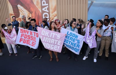 Climate activists demonstrate at the UN climate summit in Sharm El Sheikh. AFP
