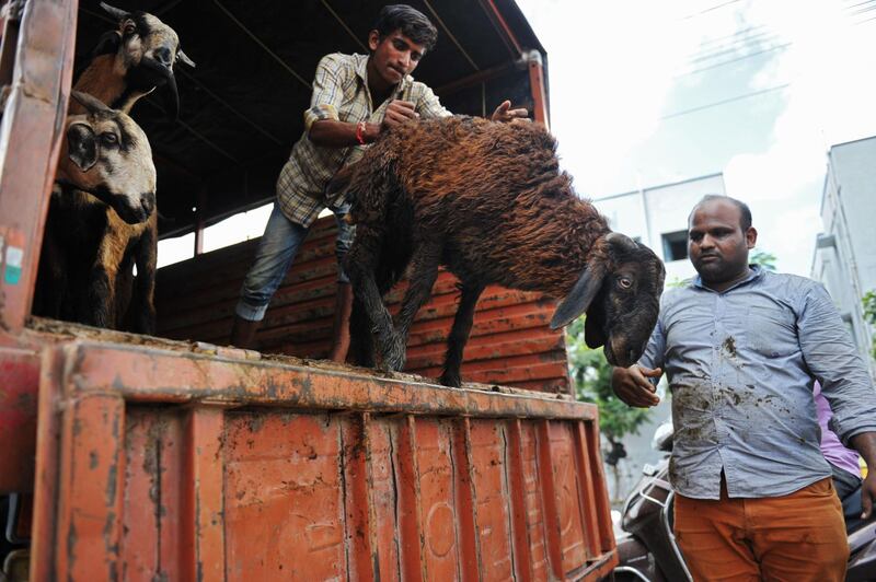 Indian Muslim vendors unload goats in Hyderabad. AFP Photo