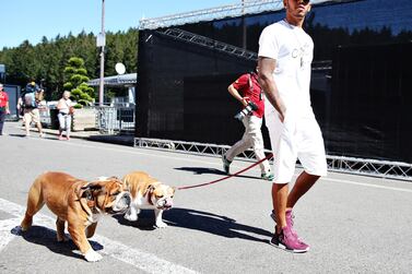 Lewis Hamilton with his dogs Roscoe and Coco in Belgium in 2016. Getty