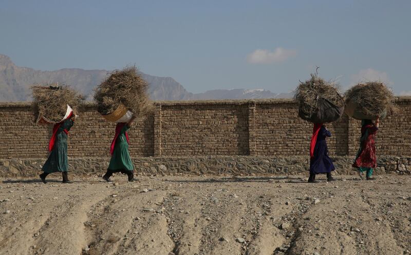 Afghan women carry sacks of firewood on their heads in the Bagram road in Parwan province of Kabul, Afghanistan. AP Photo