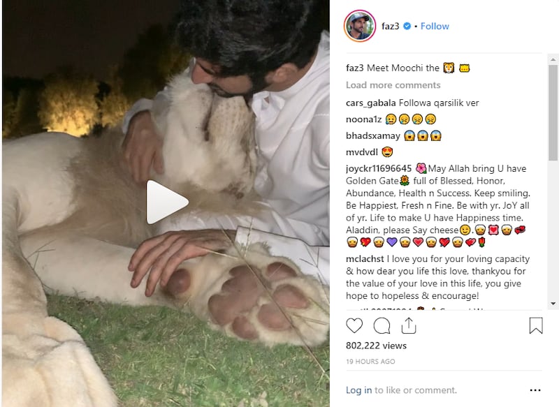 A screengrab of Sheikh Hamdan bin Mohammed's Instagram account shows the Crown Prince of Dubai with his lion - Moochi. 