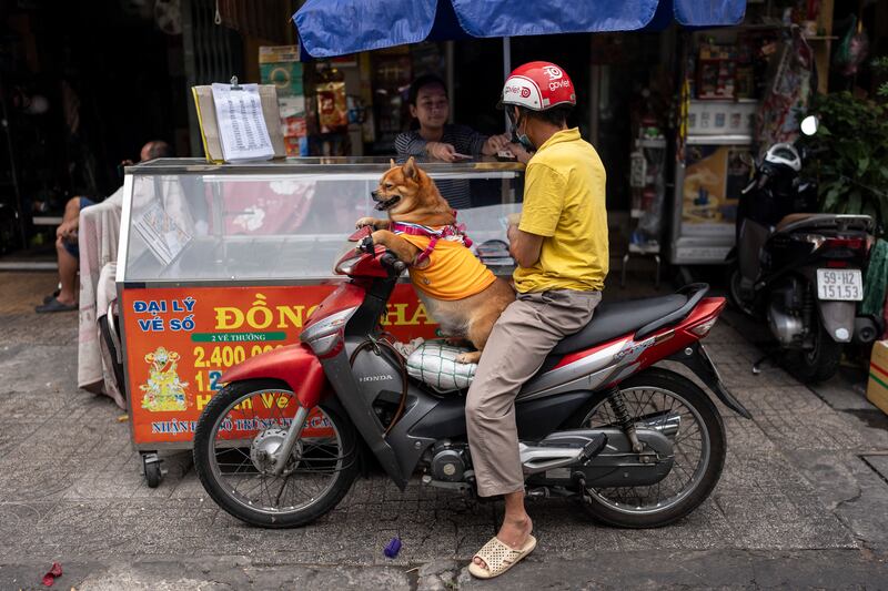 A dog sits on a scooter as its owner buys food from a vendor in Ho Chi Minh City, Vietnam. AP Photo