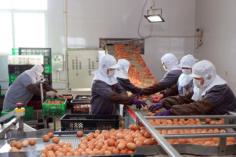 Workers wearing face masks sort and package eggs at a factory, as the country is hit by an outbreak of the novel coronavirus, in Rongcheng, Shandong province, China. Reuters
