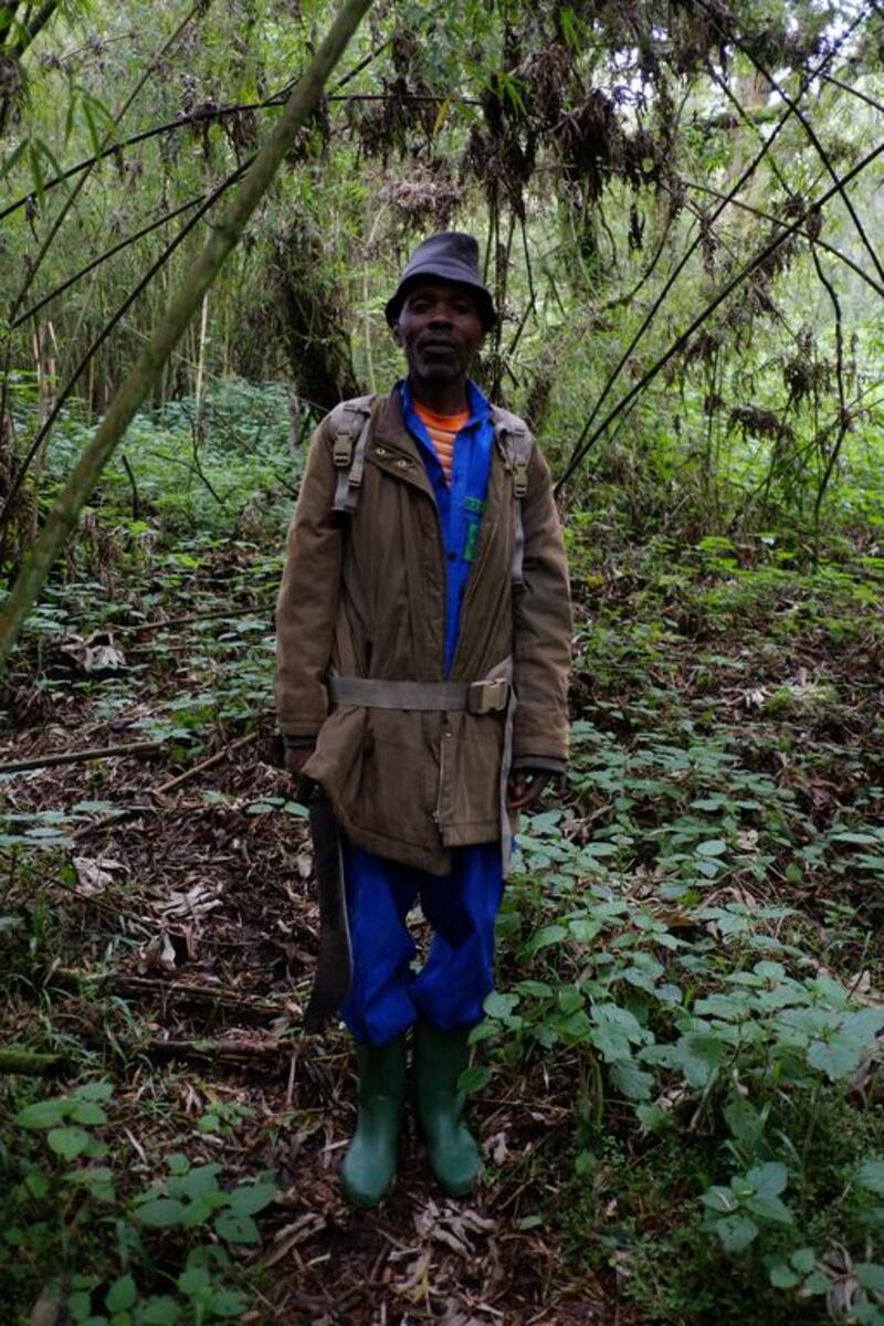Elizafan Semkore, a 57 year old trail guide working in the Virunga Mountains, Rwanda, en route to the Susa group of mountain gorillas. Courtesy Phil Sands for The National