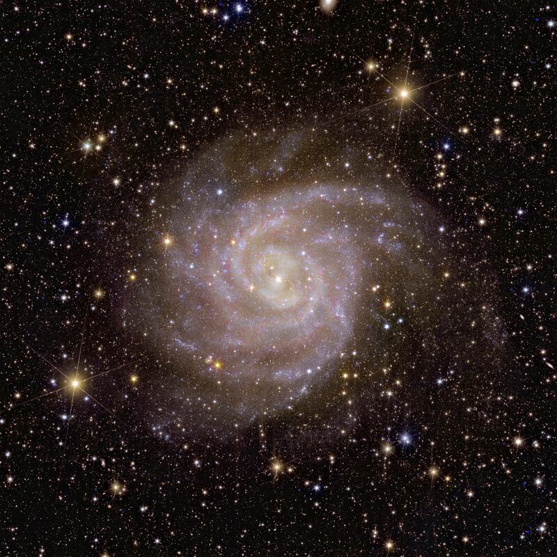 Euclid’s view of the spiral galaxy IC 342, nicknamed the 'hidden galaxy' 