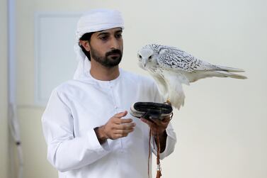 Mohammed Al Kamda with his falcon Dana at the hatching area at his farm in Al Awir in Dubai. Pawan Singh / The National 
