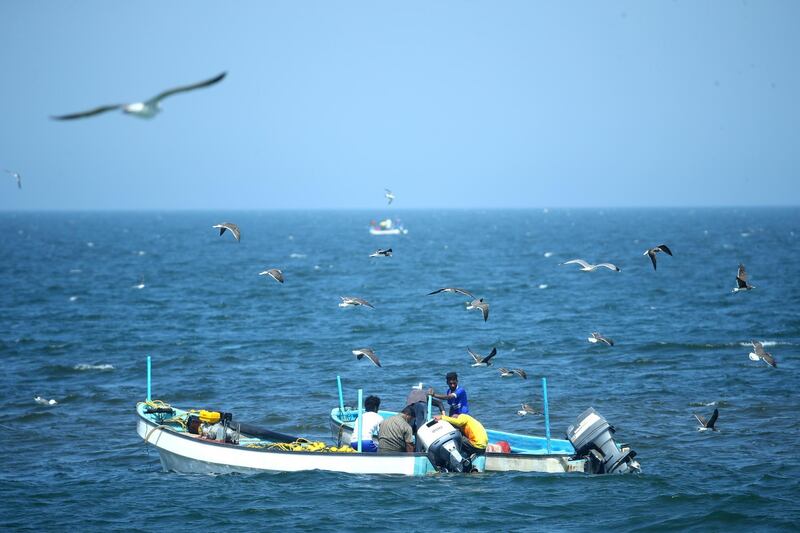 Fishermen are pictured surrounded by seagulls just off the ninth green ahead of the Oman Open at Al Mouj in Muscat. Getty