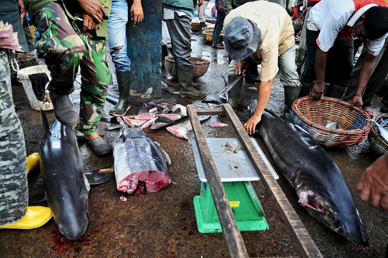 Shark fin soup is an Asian dish associated with wealth and festivity. AFP